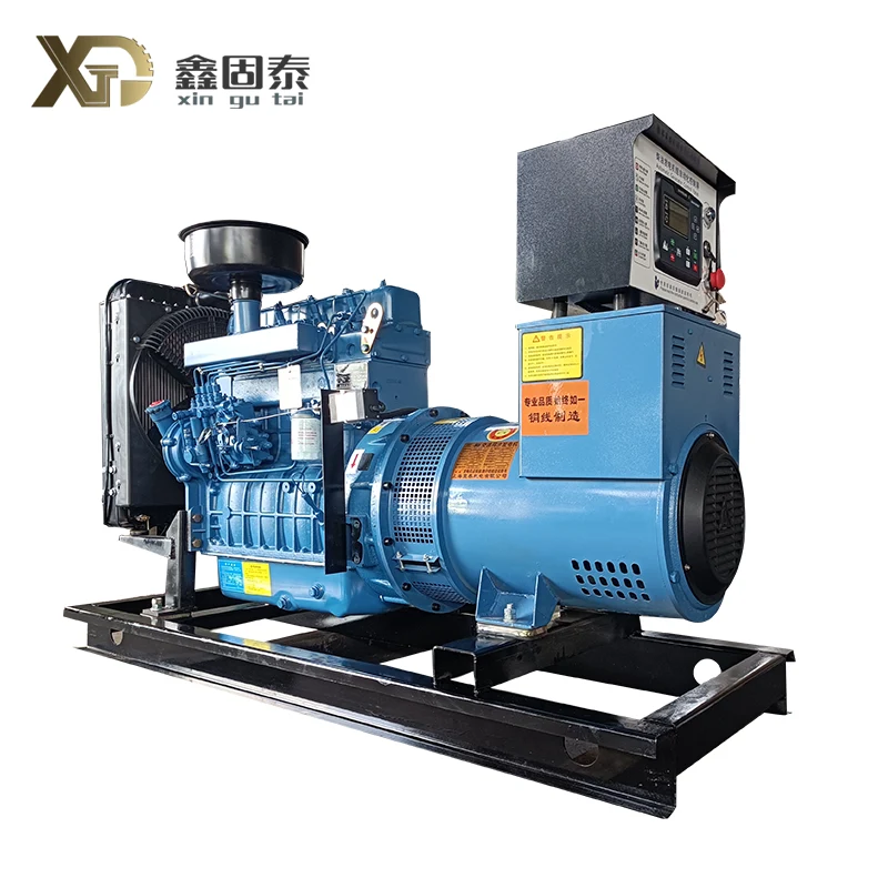 Set Weifang Diesel Generator